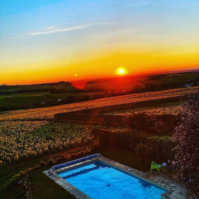 Apartmán Au Coeur Des Vignes Moulin A Vent La Chapelle-de-Guinchay Exteriér fotografie