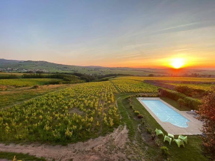 Apartmán Au Coeur Des Vignes Moulin A Vent La Chapelle-de-Guinchay Exteriér fotografie