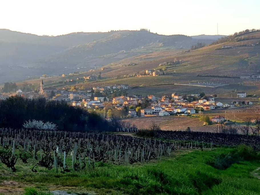 Apartmán Au Coeur Des Vignes Moulin A Vent La Chapelle-de-Guinchay Exteriér fotografie